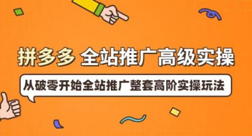 拼多多全站推广高级实操：从破零开始全站推广整套高阶实操玩法