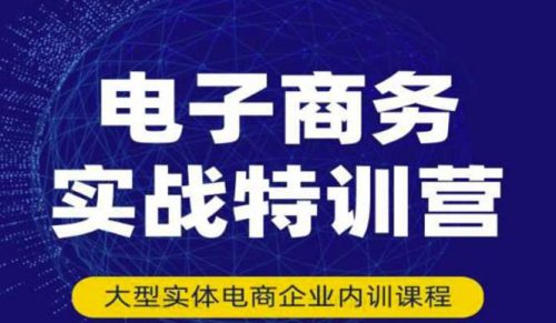 电子商务实战特训营，全方位带你入门电商，308种方式玩转电商