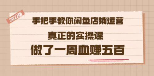 2022版《手把手教你闲鱼店铺运营》真正的实操课 做了一周血赚五百