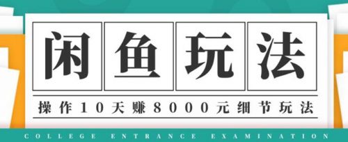 闲鱼项目玩法实战班第12期，操作10天左右利润有8000元细节