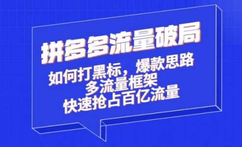 拼多多流量破局:如何打黑标，爆款思路+多流量框架+快速抢占百亿流量