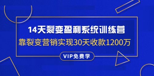 14天裂变盈利系统训练营：靠裂变营销实现30天收款1200万