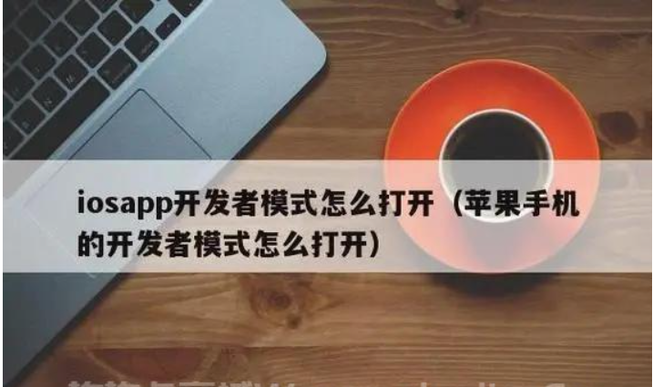 苹果ios开发者模式怎么打开？